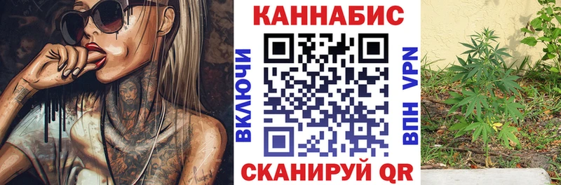 ссылка на мегу зеркало хочу Старая Купавна Бошки Шишки семена